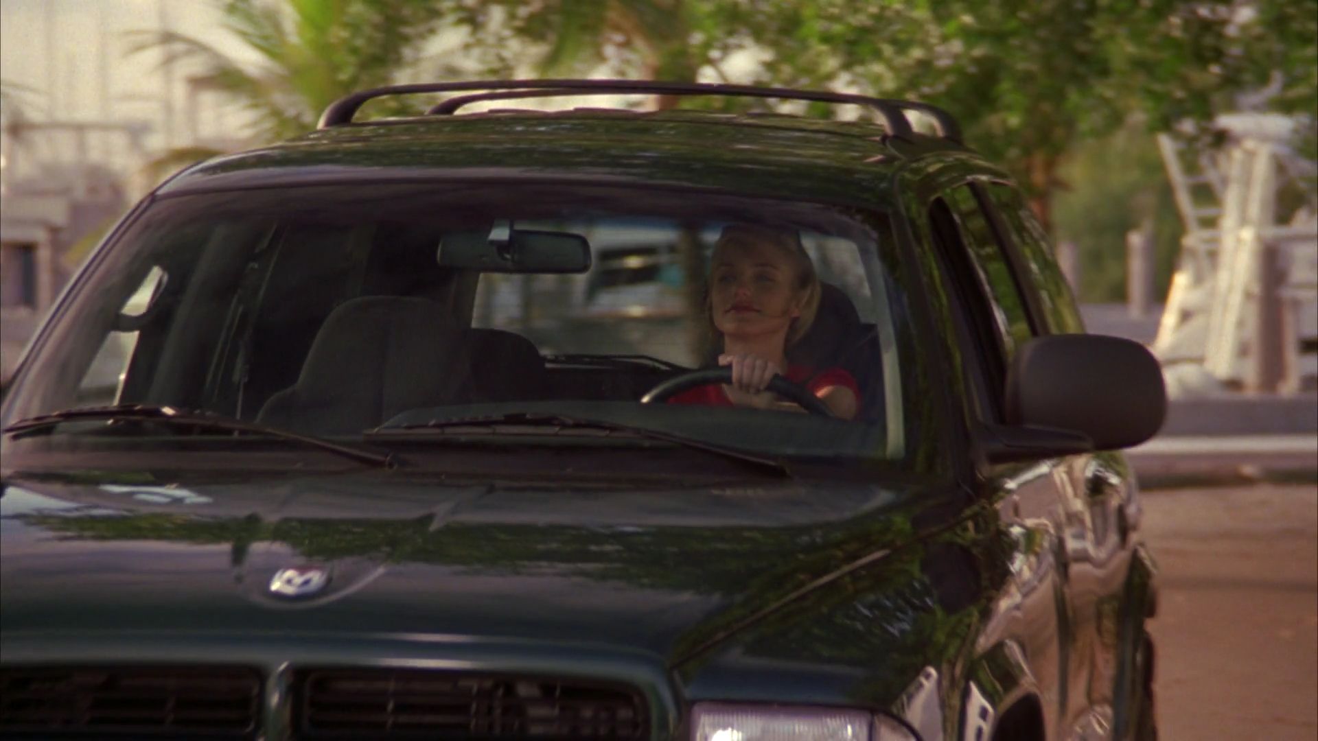 1998-TheresSomethingAboutMary-0302.jpg