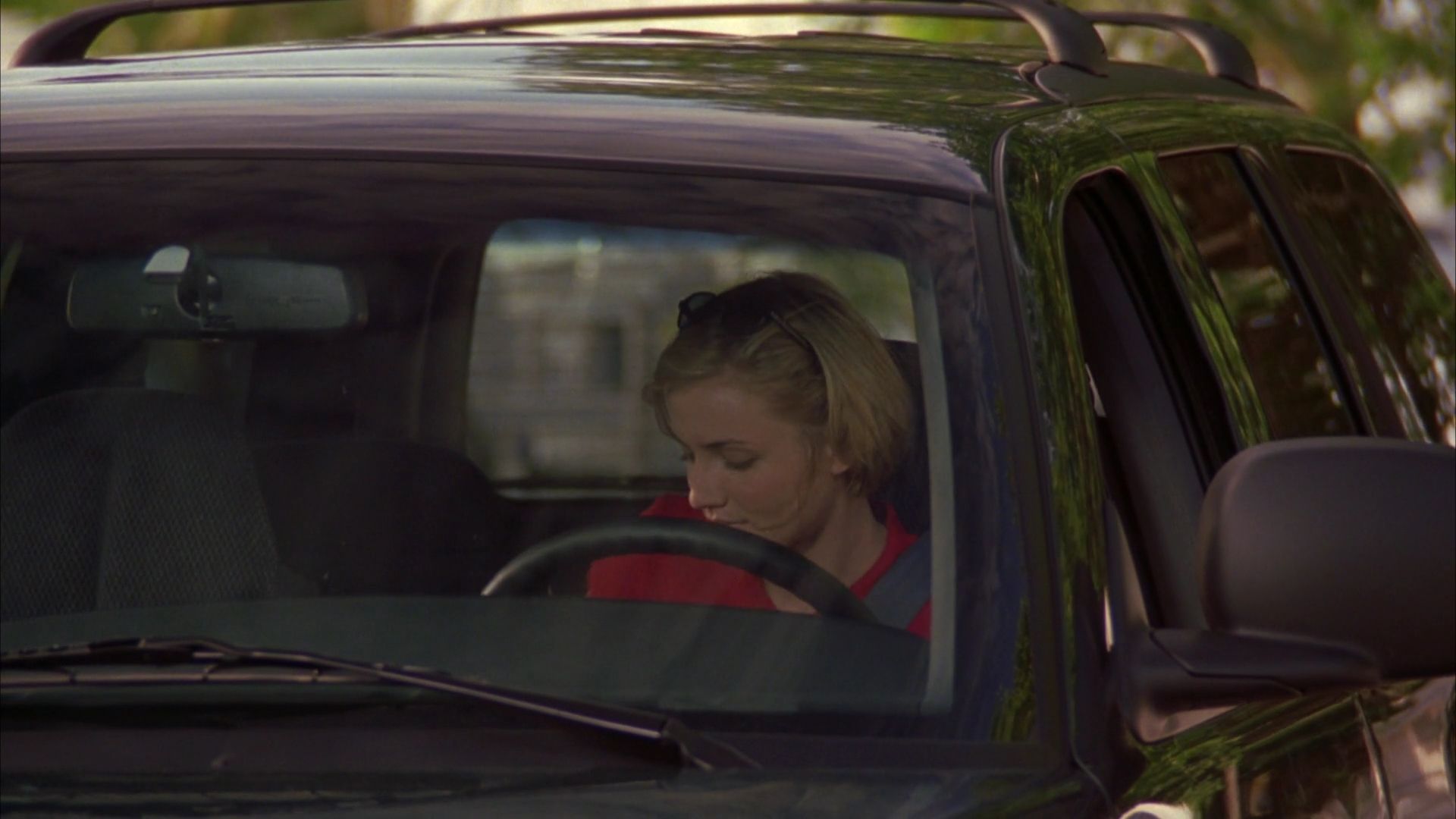 1998-TheresSomethingAboutMary-0304.jpg