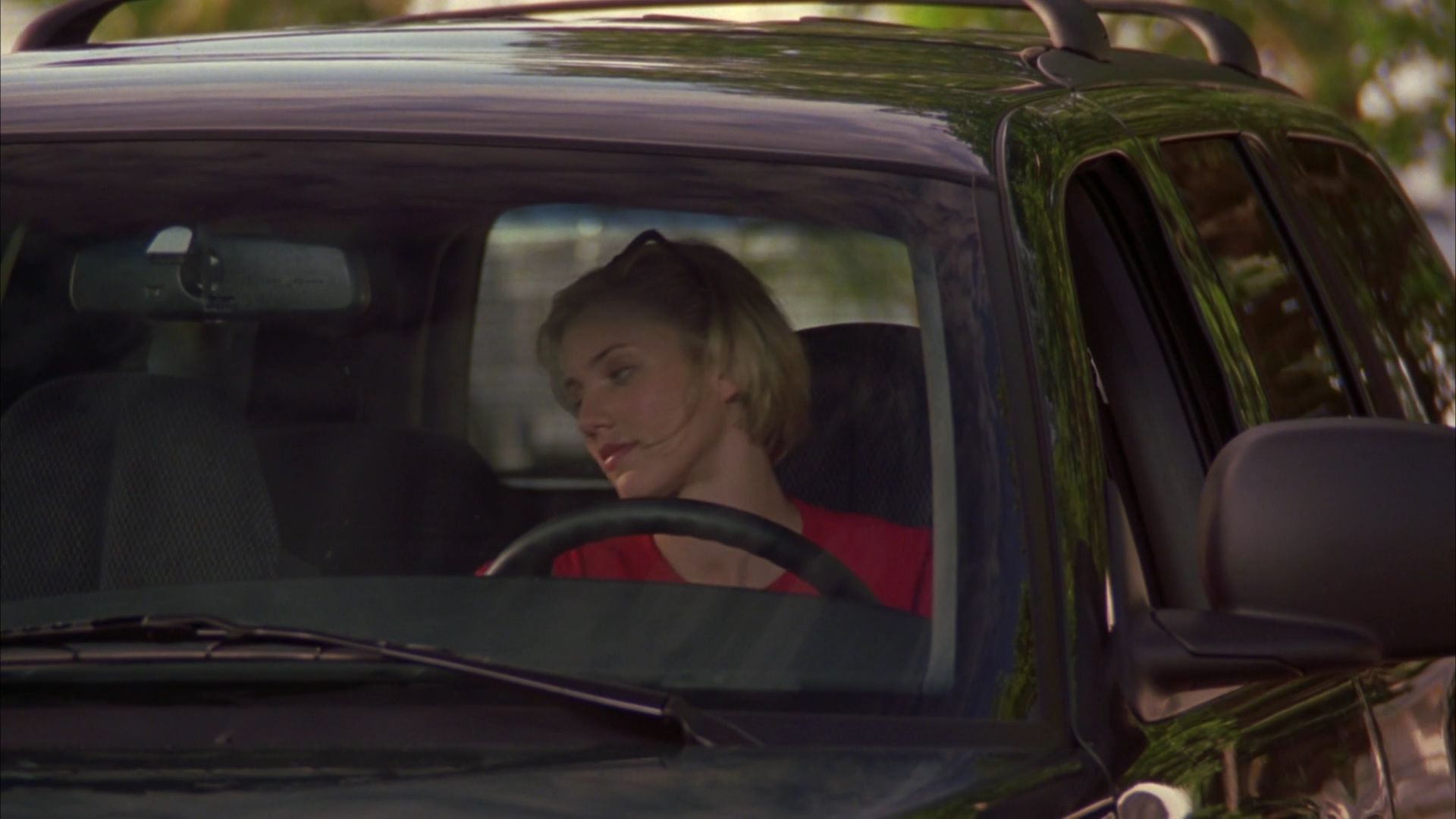 1998-TheresSomethingAboutMary-0305.jpg