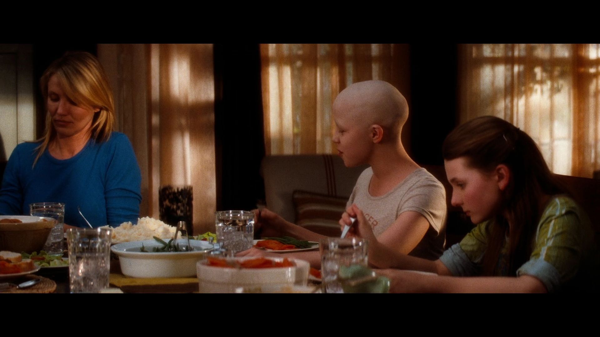 2009-MySistersKeeper-0018.jpg