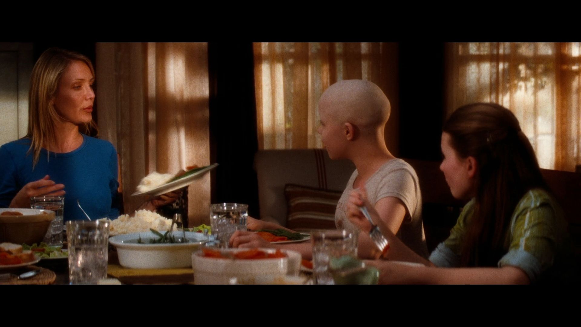 2009-MySistersKeeper-0019.jpg