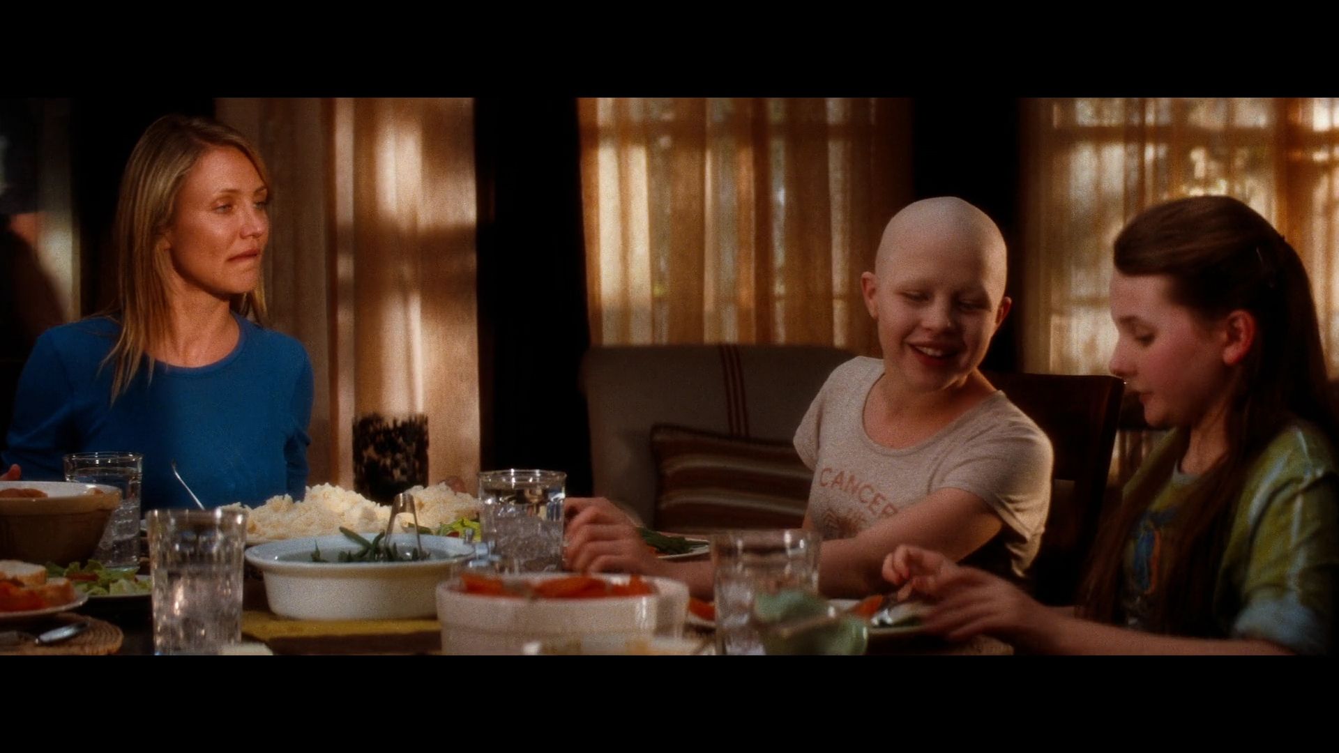 2009-MySistersKeeper-0020.jpg