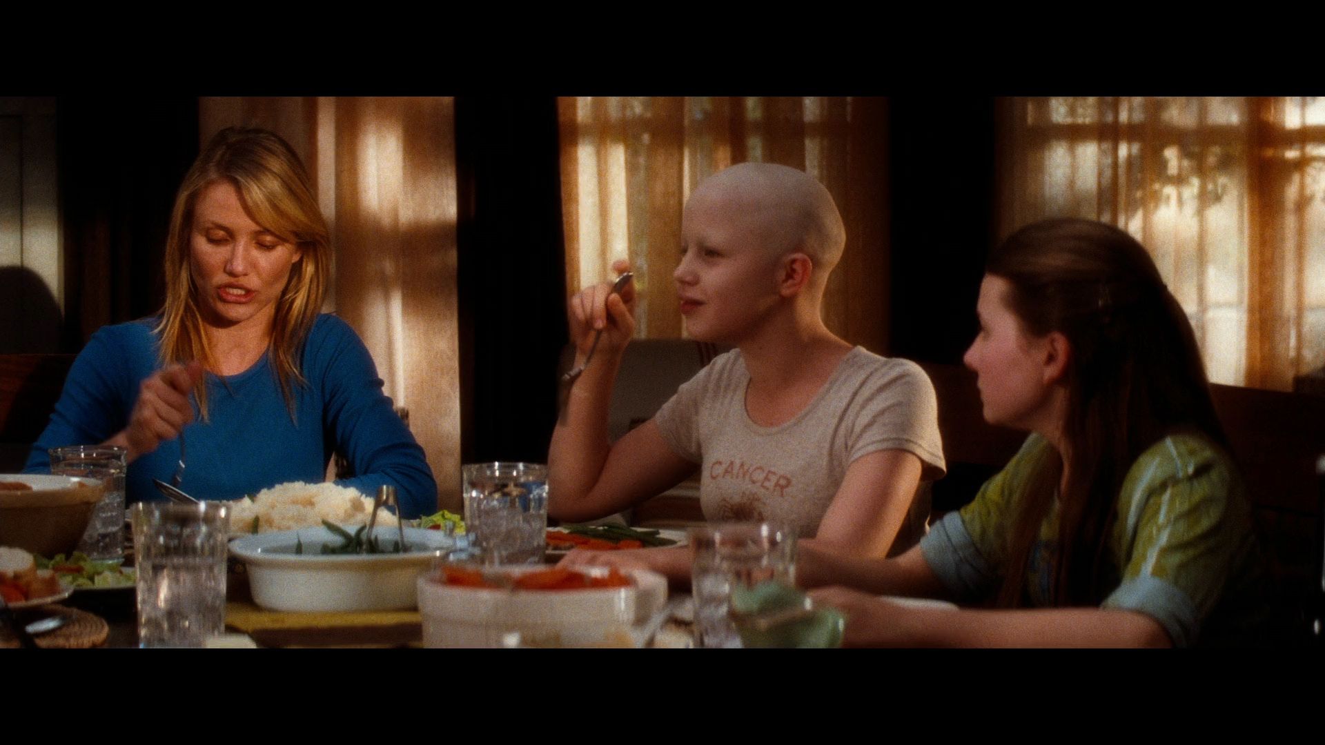 2009-MySistersKeeper-0024.jpg