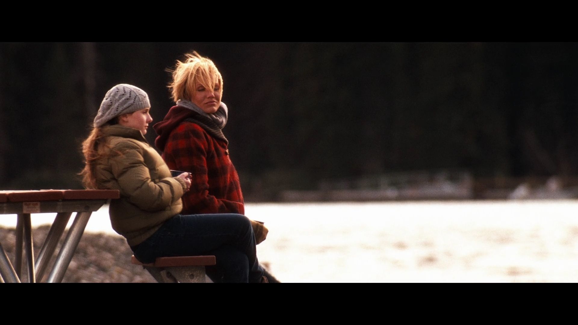 2009-MySistersKeeper-1040.jpg
