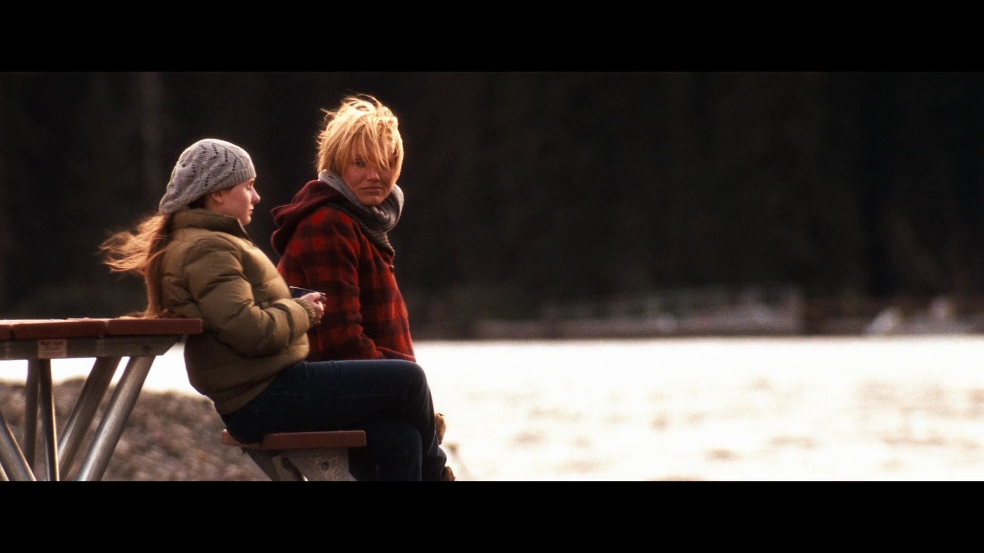 2009-MySistersKeeper-1042.jpg