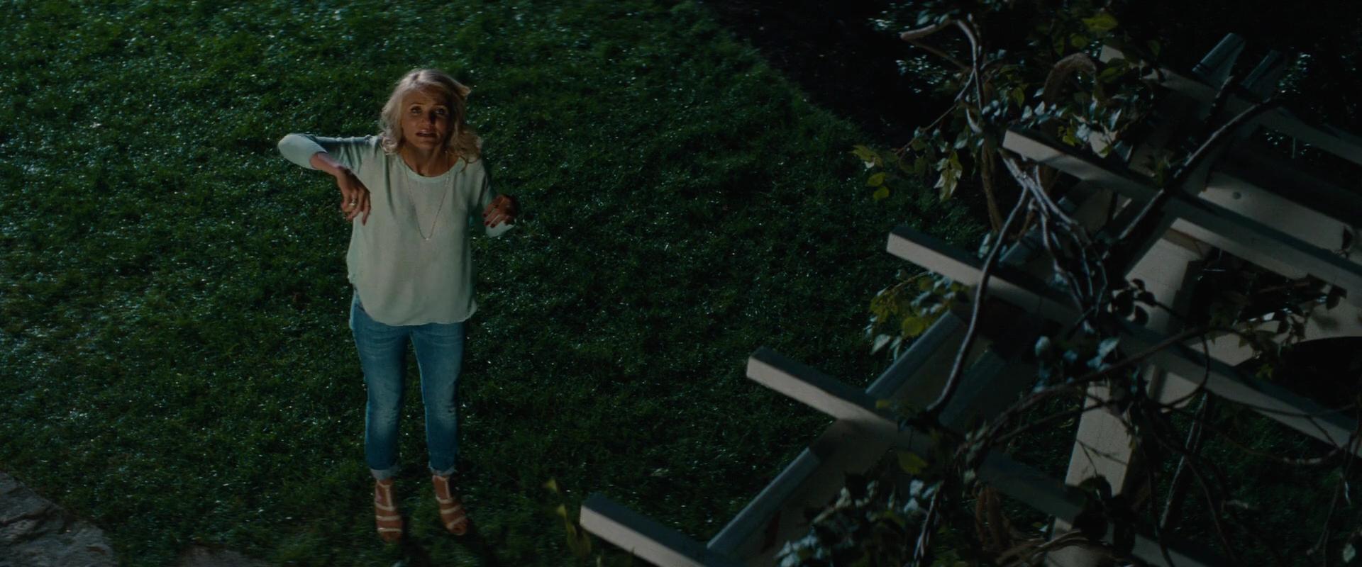 2014-TheOtherWoman-1570.jpg