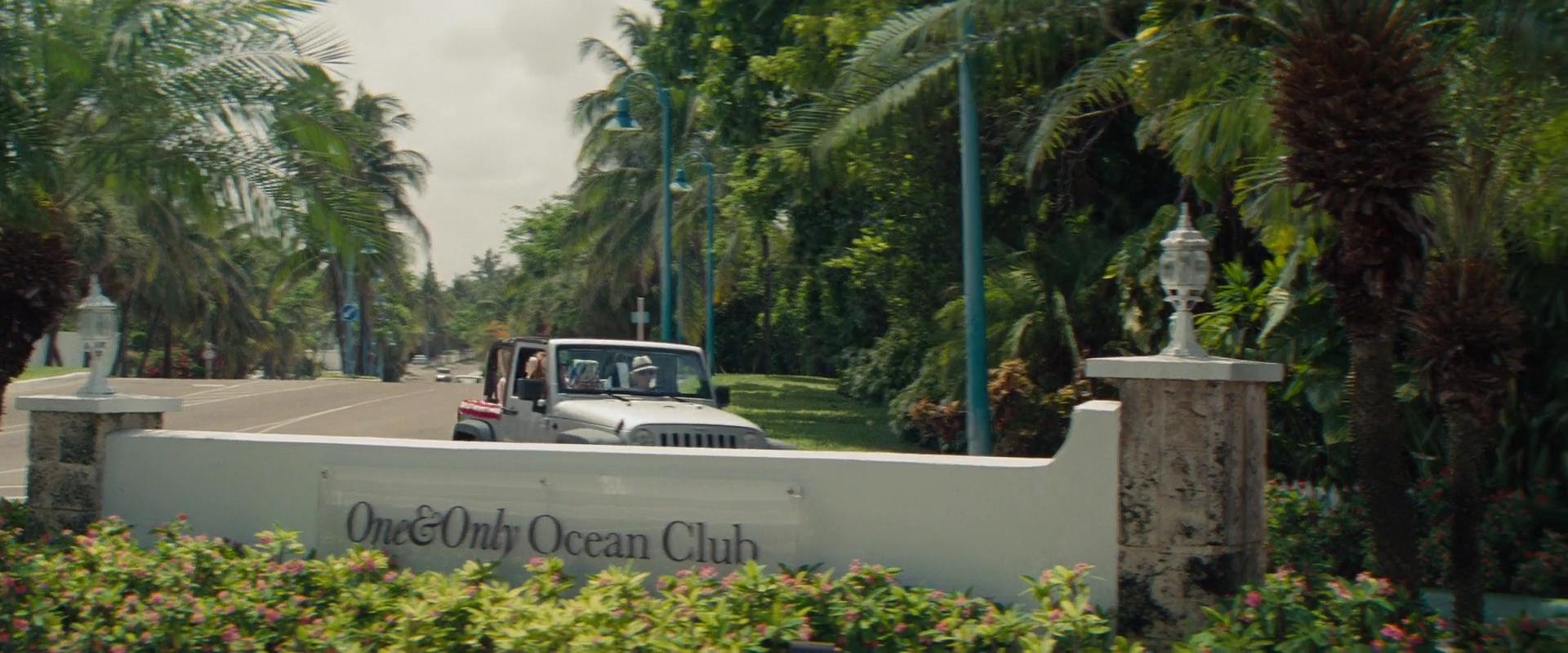 2014-TheOtherWoman-1815.jpg