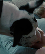 Filename=2014-TheOtherWoman-0748.jpg
Filesize=95KiB
Dimensions=1920x800
Date added=Nov 17, 2024 2014-TheOtherWoman-0748.jpg