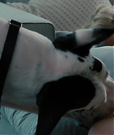 Filename=2014-TheOtherWoman-0749.jpg
Filesize=94KiB
Dimensions=1920x800
Date added=Nov 17, 2024 2014-TheOtherWoman-0749.jpg