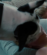 Filename=2014-TheOtherWoman-0751.jpg
Filesize=98KiB
Dimensions=1920x800
Date added=Nov 17, 2024 2014-TheOtherWoman-0751.jpg