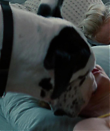 Filename=2014-TheOtherWoman-0754.jpg
Filesize=97KiB
Dimensions=1920x800
Date added=Nov 17, 2024 2014-TheOtherWoman-0754.jpg