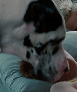 Filename=2014-TheOtherWoman-0755.jpg
Filesize=96KiB
Dimensions=1920x800
Date added=Nov 17, 2024 2014-TheOtherWoman-0755.jpg