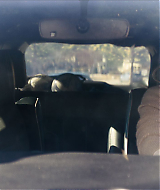008.jpg