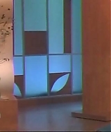 533.jpg